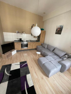 2 Zimmer Appartement mit Balkon im Zentrum